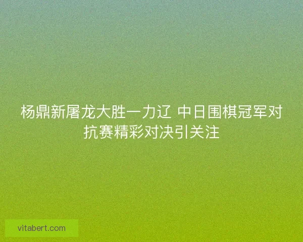 杨鼎新屠龙大胜一力辽 中日围棋冠军对抗赛精彩对决引关注