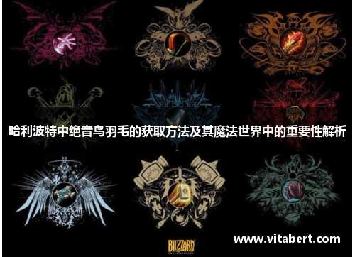 哈利波特中绝音鸟羽毛的获取方法及其魔法世界中的重要性解析